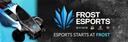 Discovery splash banner for Frost Esports Discord server