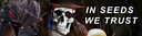 Discovery splash banner for The Privateers Discord server