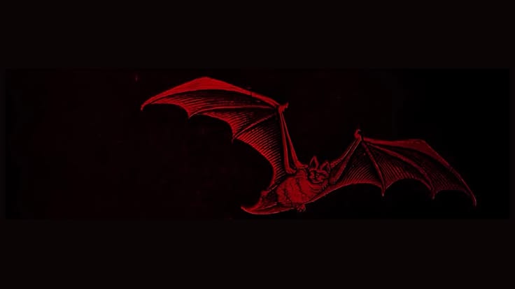 Discovery splash banner for /hexxed Discord server