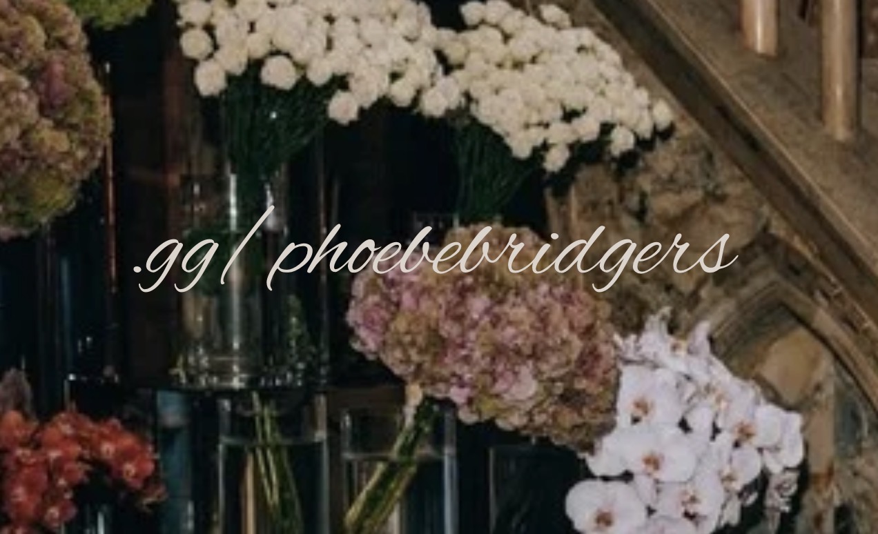 Discovery splash banner for Phoebe Bridgers Discord server