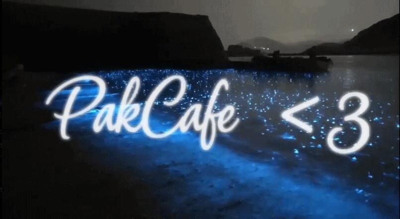 Discovery splash banner for ๐ฏ๐ PakCafe Discord server