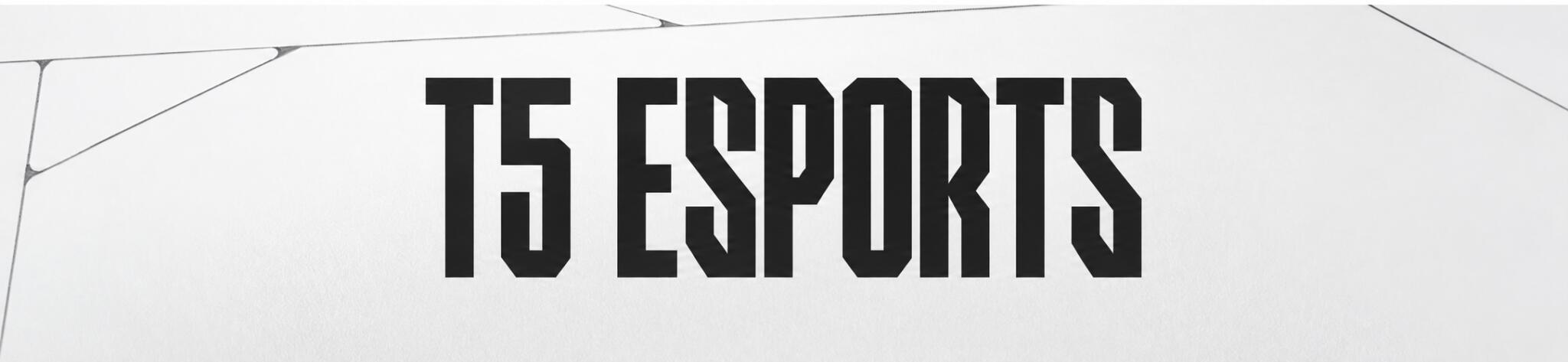 Discovery splash banner for T5 Esports™ | Top Five Discord server