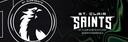 Discovery splash banner for St. Clair Saints Discord server