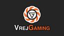 Discovery splash banner for VrejGaming Discord server