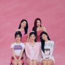 Discovery splash banner for Red Velvet | Irene & Seulgi 'Cheetah' Discord server