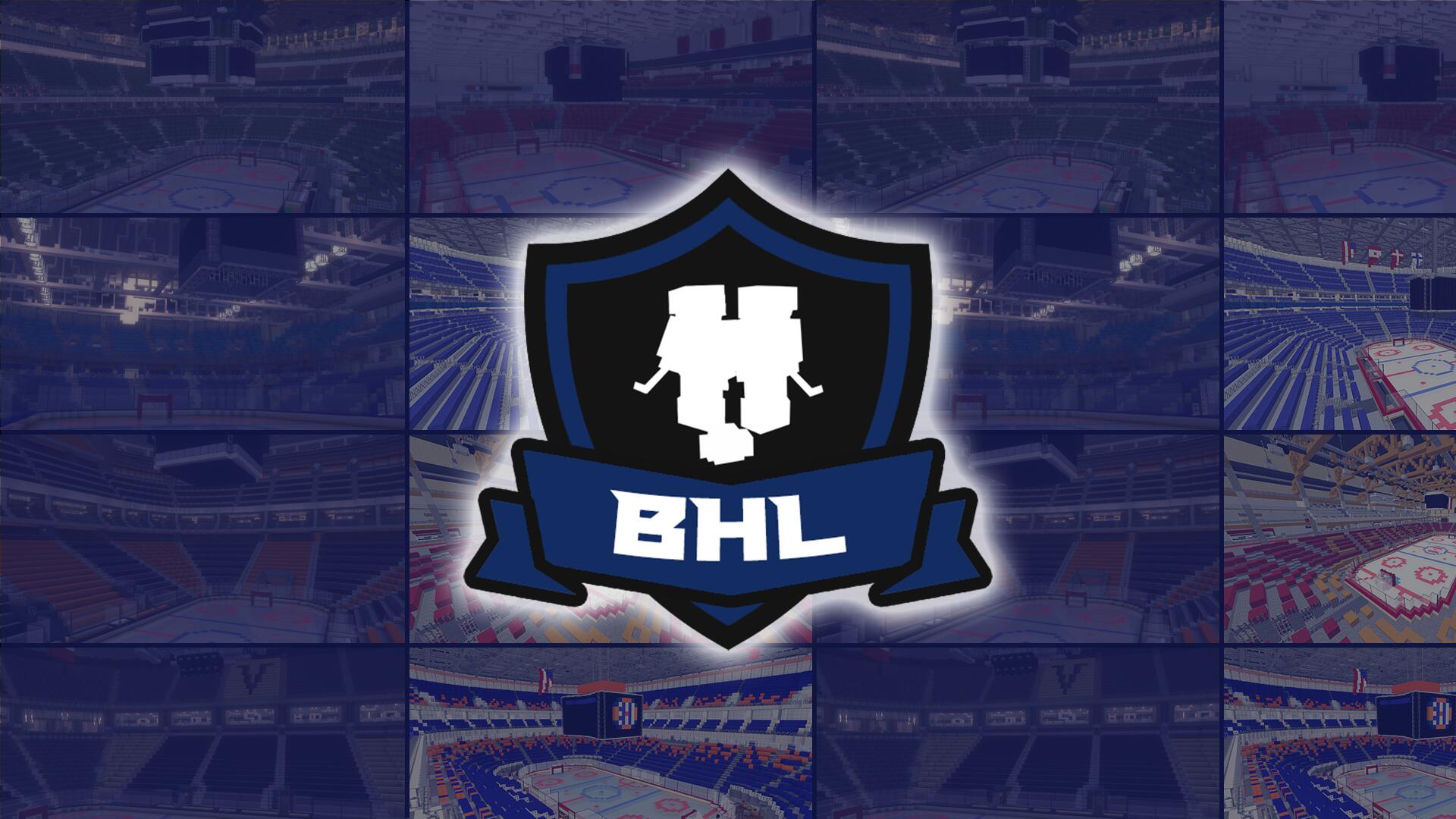 Discovery splash banner for Blockey Hockey Discord server