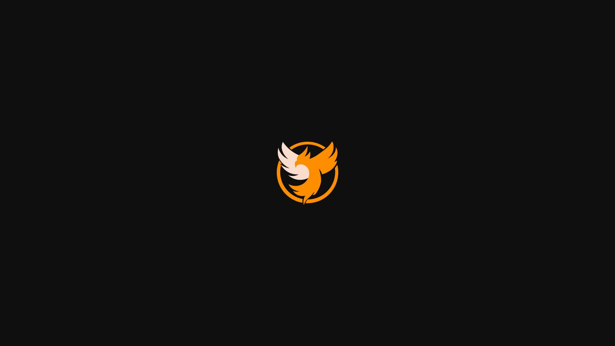 Discovery splash banner for Fenix Project Discord server