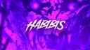 Discovery splash banner for Habibis Auction House Discord server