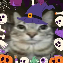 Discovery icon for Maow ๐บ | Social & Gatitos Discord server