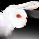 Discovery icon for Giáo Phái Thỏ Đêm🐰 Discord server