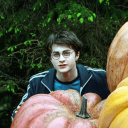 Discovery icon for Harry Potter Discord server