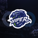 Discovery icon for Viper Discord server