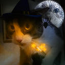 Discovery icon for SPOOKY world !! Discord server